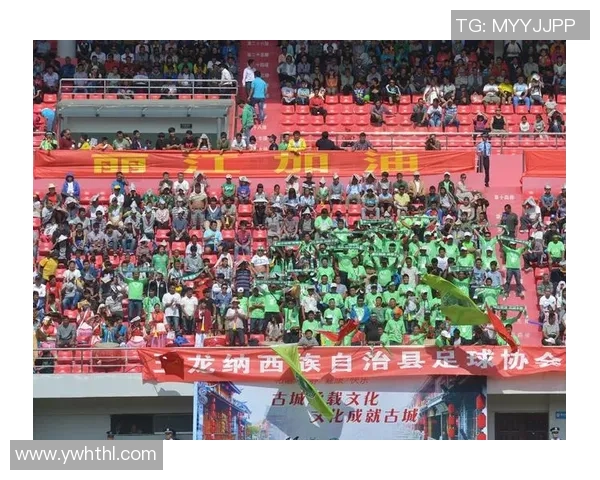 丽江飞虎迎战保定队期待精彩对决与球迷激情共鸣